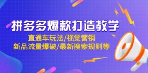 (14681期)拼多多爆款打造教学:直通车玩法/视觉营销/新品流量爆破/最新搜索规则等-中创网_分享创业项目_助您在家赚钱