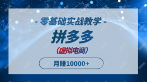 （14880期）拼多多虚拟电商，零基础实战教学，快速打爆商品，新手也能月入10000+-中创网_分享创业项目_助您在家赚钱