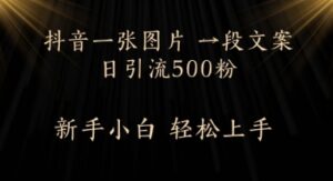 每天2分钟,抖音一张图片 一段文案日引流500粉-中创网_分享创业项目_助您在家赚钱