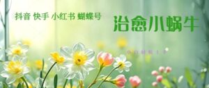 疯狂火爆！抖音，小红书，视频号蜗牛治愈的视频，轻松制作+快速拿到结果-中创网_分享创业项目_助您在家赚钱