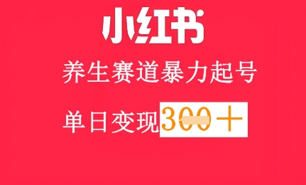 小红书养生赛道，暴力起号，轻松日入3张+-中创网_分享创业项目_助您在家赚钱