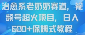 治愈系老奶奶赛道,视频号超火项目,日入6张+保姆式教程-中创网_分享创业项目_助您在家赚钱