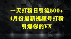 一天打粉日引流500+,4月份最新视频号打粉,引爆你的微信-中创网_分享创业项目_助您在家赚钱