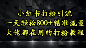 小红书打粉引流，一天轻松500+精准流量，大佬都在用的打粉教程-中创网_分享创业项目_助您在家赚钱