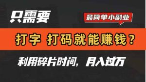 （14673期）只需要打字，打码，就能赚钱？简单的赚钱小副业，利用碎片时间，月入过万-中创网_分享创业项目_助您在家赚钱
