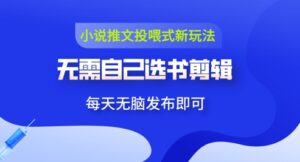 小说推文视频投喂新玩法:无需自己选书剪辑,领取视频发布即可,可批量操作-中创网_分享创业项目_助您在家赚钱