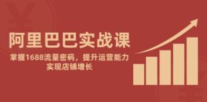 阿里巴巴实战课：掌握1688流量密码，提升运营能力，实现店铺增长-中创网_分享创业项目_助您在家赚钱