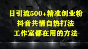 日引流500+精准创业粉,抖音共情自热打法,工作室都在用的方法-中创网_分享创业项目_助您在家赚钱