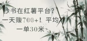 抄书在小红薯平台？平均一单30米，一天收益几张！-中创网_分享创业项目_助您在家赚钱