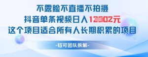 不露脸不直播不拍摄抖音单条视频日入1k+这个项目适合所有人长期积累的项目-中创网_分享创业项目_助您在家赚钱