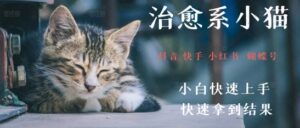 拆解，疯狂火爆！抖音，小红书，视频号小猫治愈的视频，轻松制作+快速拿到结果-中创网_分享创业项目_助您在家赚钱