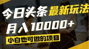 （14675期）今日头条最新风口,视频掘金,小白也可月入过万,可以矩阵操作-中创网_分享创业项目_助您在家赚钱