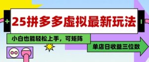 25最新拼多多虚拟电商,单店日入3位数,小白也能快速上手,保姆级教程-中创网_分享创业项目_助您在家赚钱