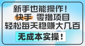 新手也能操作，快手零撸挣米，轻松每天挣2-5张，完全无成本-中创网_分享创业项目_助您在家赚钱