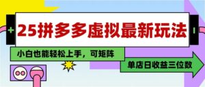 25最新拼多多虚拟电商,单店日入3位数, 小白也能快速上手,保姆级教程-中创网_分享创业项目_助您在家赚钱
