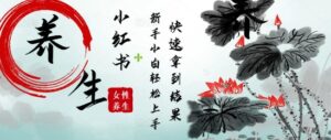疯狂火爆,用Deepseek小红书平台的女性古声古韵养生爆款,小白轻松制作,快速拿到结果-中创网_分享创业项目_助您在家赚钱