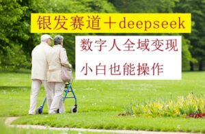 银发赛道+deepseek数字人全域变现,小白也能操作-中创网_分享创业项目_助您在家赚钱