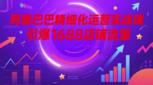 阿里巴巴精细化运营实战课,引爆1688店铺流量-中创网_分享创业项目_助您在家赚钱