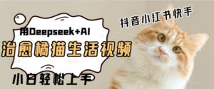 疯狂火爆,用Deepseek+AI做治愈橘猫系列视频,小白轻松制作+快速拿到结果-中创网_分享创业项目_助您在家赚钱