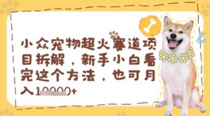 小众宠物超火赛道项目拆解，新手小白看完这个方法，也可月入过w-中创网_分享创业项目_助您在家赚钱