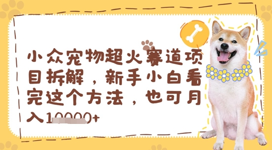 小众宠物超火赛道项目拆解，新手小白看完这个方法，也可月入过w-中创网_分享创业项目_助您在家赚钱