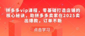 拼多多vip课程,零基础打造店铺的核心秘诀,助拼多多卖家在2025卖出爆款,订单不断-中创网_分享创业项目_助您在家赚钱