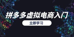 (15158期)拼多多虚拟电商入门,精准选品方法论,无货源模式起盘技巧-中创网_分享创业项目_助您在家赚钱