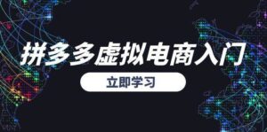 拼多多虚拟电商入门,精准选品方法论,无货源模式起盘技巧-中创网_分享创业项目_助您在家赚钱