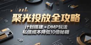 (15254期)2025小红书聚光投放全攻略,计划搭建+DMP玩法,私信成本降低10倍秘籍-中创网_分享创业项目_助您在家赚钱