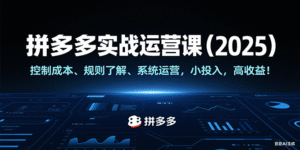 拼多多实战运营课(2025),控制成本、规则了解、系统运营,小投入,高收益!-中创网_分享创业项目_助您在家赚钱