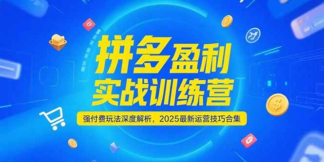 图片[1]-拼多多盈利实战训练营，强付费玩法深度解析，2025最新运营技巧合集