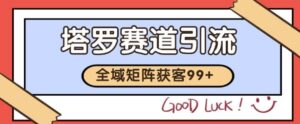 小红书某音塔罗赛道引流获客 自热矩阵日引200+【揭秘】-中创网_分享创业项目_助您在家赚钱
