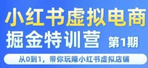 小红书虚拟电商掘金特训营第1期，从0到1，带你玩转小红书虚拟店铺-中创网_分享创业项目_助您在家赚钱