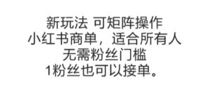 可矩阵操作,小红书商单新玩法,适合所有人,无需粉丝门槛,1粉丝也可以接单-中创网_分享创业项目_助您在家赚钱