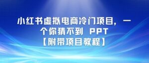 小红书虚拟电商冷门项目，一个你猜不到 PPT【附带项目教程】-中创网_分享创业项目_助您在家赚钱