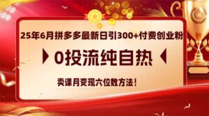 （14989期）25年6月拼多多最新日引300+付费创业粉，0投流纯自热 卖课月变现六位数方法-中创网_分享创业项目_助您在家赚钱