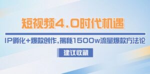 (15019期)短视频4.0时代机遇:IP孵化+爆款创作,揭秘1500w流量爆款方法论-中创网_分享创业项目_助您在家赚钱