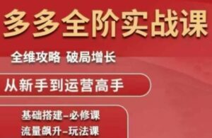 拼多多全阶实战课程,全维攻略,破局增长,从新手到运营高手-中创网_分享创业项目_助您在家赚钱