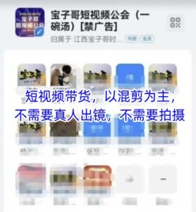 宝子哥头部团队短视频带货,以混剪为主,不需要真人出镜,不需要拍摄【更新】-中创网_分享创业项目_助您在家赚钱