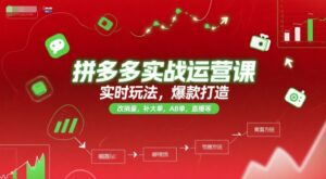 拼多多实战运营课,实时玩法,爆款打造,改销量,补大单,AB单,直播等(更新2025月)-中创网_分享创业项目_助您在家赚钱
