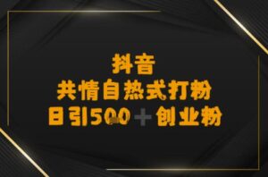 日引500+创业粉,抖音共情自热式打粉-中创网_分享创业项目_助您在家赚钱