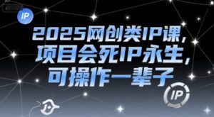 2025网创类IP课,项目会死IP永生,可操作一辈子-中创网_分享创业项目_助您在家赚钱