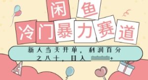 闲鱼冷门暴力赛道，新人当天开单，门槛低，日入多张-中创网_分享创业项目_助您在家赚钱