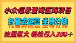 (15216期)稳定日入300+,小众信息查询蓝海项目,全程懒人式托管,解放你的时间-中创网_分享创业项目_助您在家赚钱