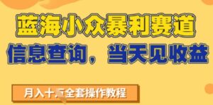 蓝海小众暴利赛道，信息查询，当天见收益，不讲玄学，7天搞了2W+-中创网_分享创业项目_助您在家赚钱