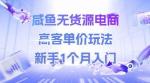 咸鱼无货源电商,高客单价玩法,新手1个月入门-中创网_分享创业项目_助您在家赚钱