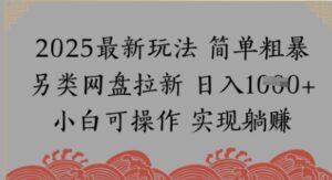 网盘拉新，冷门玩法，纯捡钱月入8k，0基础小白也能做-中创网_分享创业项目_助您在家赚钱
