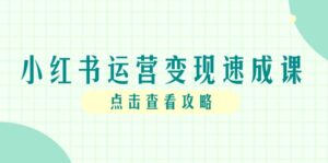 (14951期)小红书运营变现速成课,账号搭建到暴力起号,个人IP全流程指南-中创网_分享创业项目_助您在家赚钱