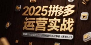 (15235期)2025拼多多运营实战:店铺定位选品技巧,爆款打造全流程解析(更新6月)-中创网_分享创业项目_助您在家赚钱