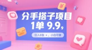 分手搭子项目,1单9.9,日入6张+,小白可做-中创网_分享创业项目_助您在家赚钱